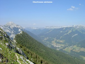 Chartreuse_01