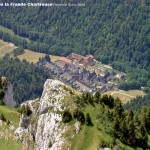 Chartreuse_10